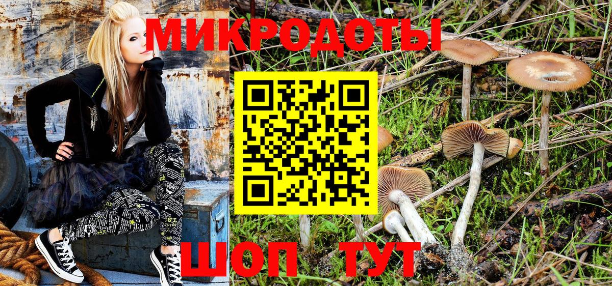 купить наркотик  Галлюциногенные грибы MAGIC MUSHROOMS  Вход с VPN  Галлюциногенные грибы MAGIC MUSHROOMS  Богородицк 